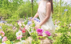 女人吃男人大鸟图片